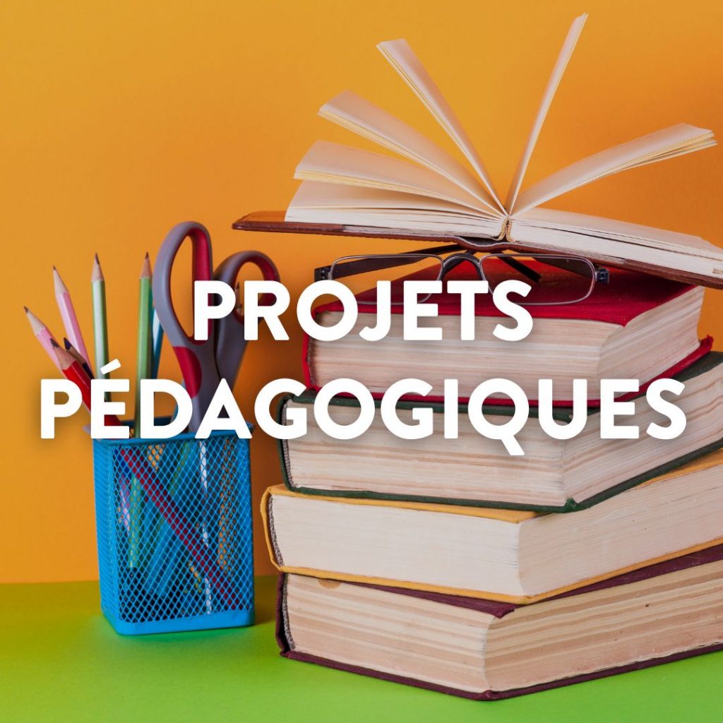 Projets Pédagogiques